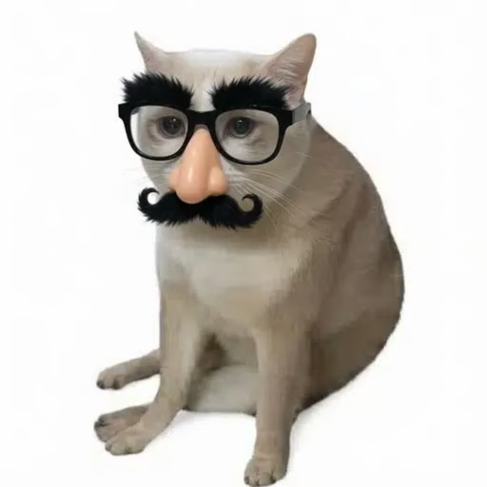 RobinLARP