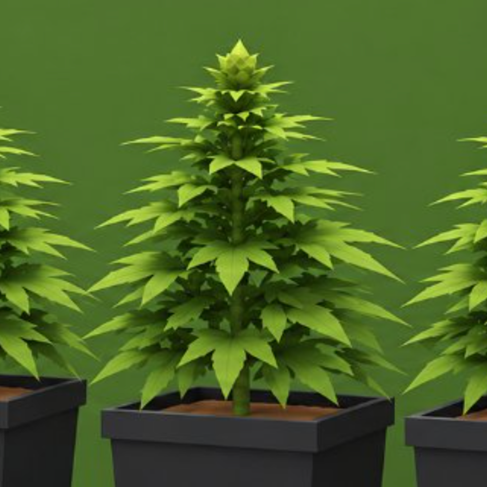 WEED INC.